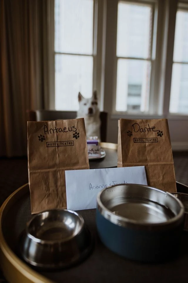 A tray in a hotel room holds dog bowls and two paper bags labeled "Antaeus" and "Dante" from Hotel Teatro, with a white dog waiting patiently in the background.